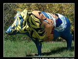 schwein-dekofigur-bemalt-airbrush-glasfaser-skulptur-figur-art-on-pigs-dumbsky-7.jpg