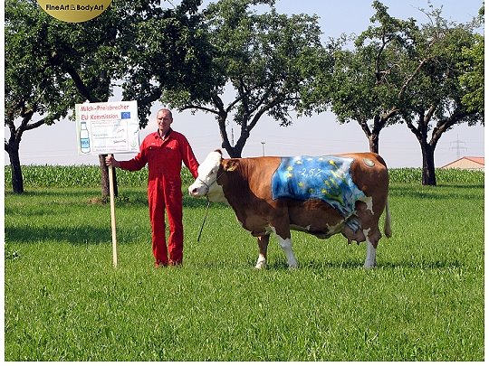 Kuhpaint, Kuhbodypaint, Kuhbemalung, Kuh bemalt, Kuh Europa, Milch, Bauernverband, Bayerischer Bauernverband, Kuhbodypaint