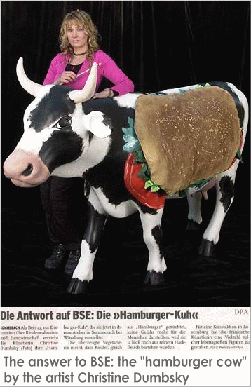 cow article - or what you eat - see the real hamburger