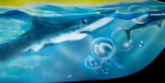 Shark and jellyfish below waterline
