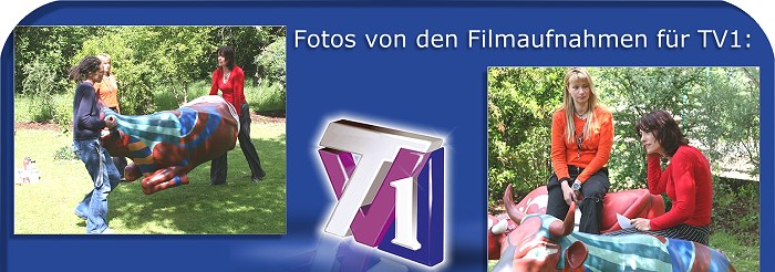 Photos of the filming for TV 1 