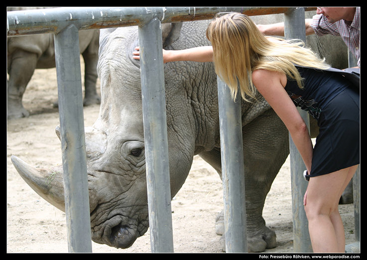 K�nstlerin im Allwetterzoo - bei Privatf�hrung - hier treffen sich gefangene Zweih�rner